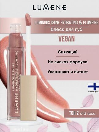 Блеск для губ Luminous 04 увядшая роза 0